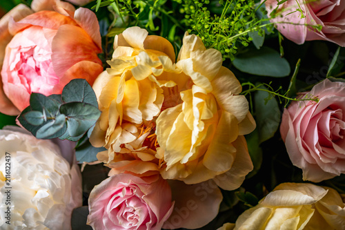 Macro shot of fresh bunch of peonies bouquet of different colors. Card Concept, gentle abstract floral background image, close up, shallow DoF