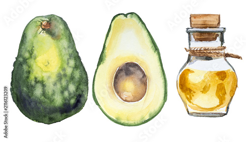 Watercolor fresh avocado with cut half and oil bottle isolated on white background