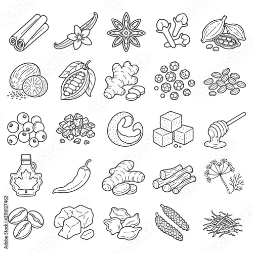 Collection of spices and herbs line icons: cinnamon, vanilla, star anise, mushrooms, cacao.