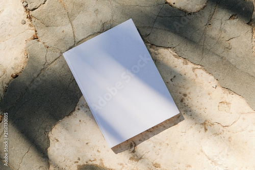 empty book cover mockup on stone floor or pavement outdoors, abstract botanical shadow overlay