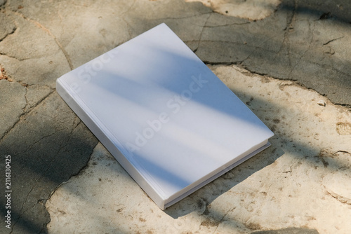 empty book cover mockup on stone floor or pavement outdoors, abstract botanical shadow overlay