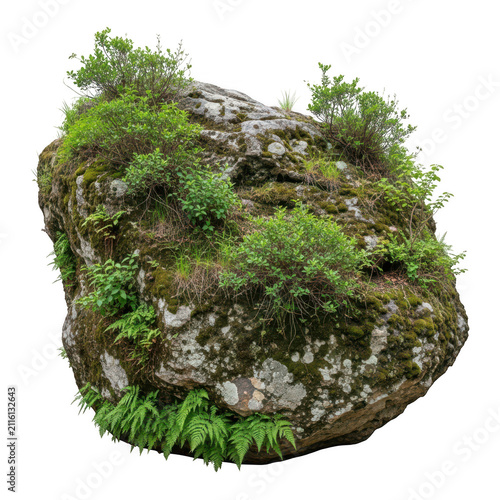 A close-up view of a rocky outcrop covered in lush green vegetation.