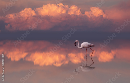 Composite of a lone flamingo walking in shallow water at sunset with pink clouds in the background