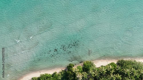 Tropical beach with turquoise water and lush palm trees