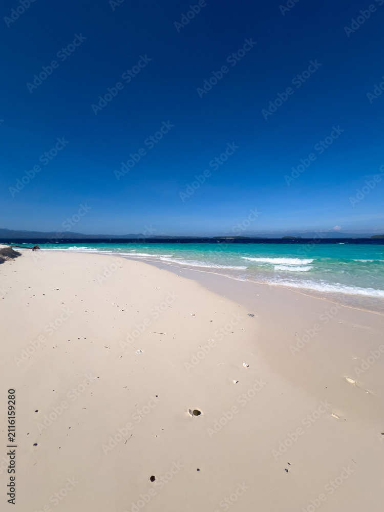 Fototapeta premium Scenic Tropical Beach with Turquoise Water