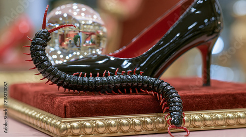 Black centipede coils beside patent leather heel on red velvet in dark glamour macro