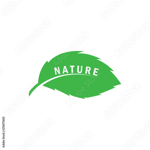 Green Tree leaf ecology nature element