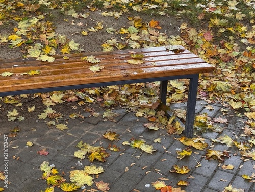 Autumn season background with wet wooden bench and fallen yellow leaves in city park