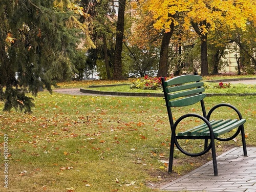 Park bench standing on lawn covered with colorful fall leaves on autumn day