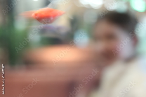 Blurred view of aquarium exhibit.