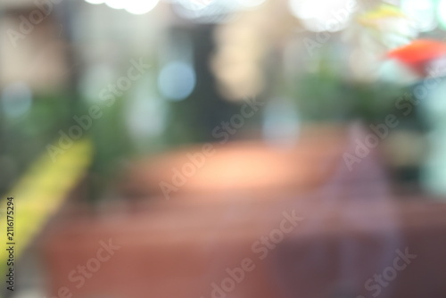 Blurred view of aquarium exhibit.