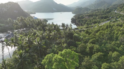 Tropical coastal road winding through lush green rainforest by the sea