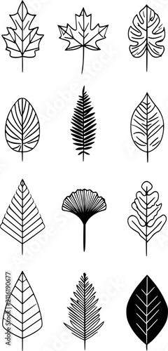 Botanical Leaf Icon Set Silhouette Vector Illustration