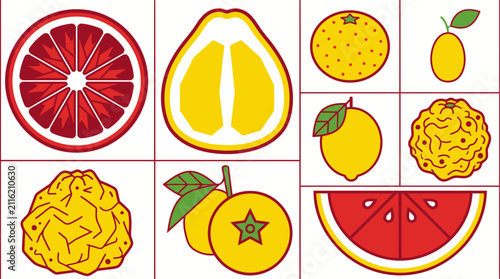 Assortment of citrus fruits, showcasing their vibrant colors and textures in a graphic style