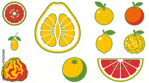 Collection of Fresh Citrus Fruits and Exotic Slices Vector Graphic Elements Set
