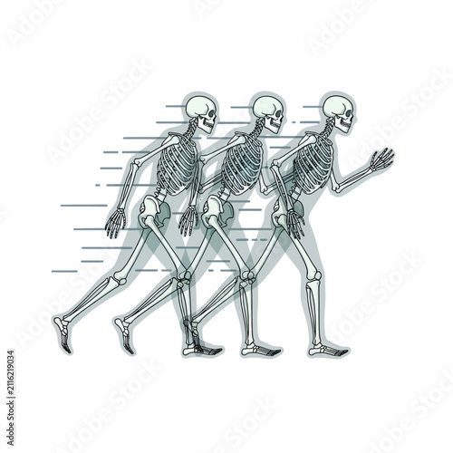 A series of skeletons showing the motion of running in a sequence