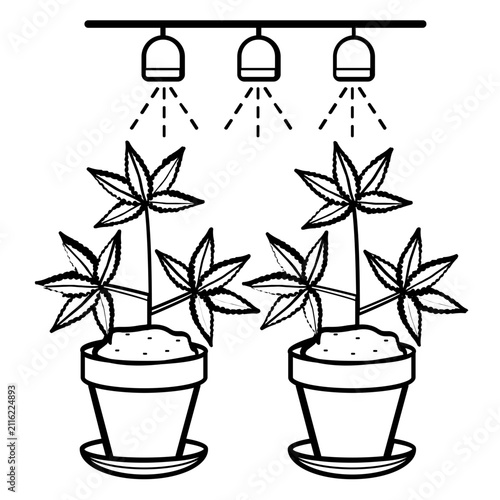 potted cannabis plants growing under overhead LED grow lights concept, medical marijuana at controlled indoor cultivation vector icon design, horticulture under artificial lighting stock illustration