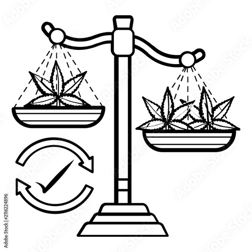 medical cannabis regulation concept, marijuana legalization and compliance vector icon design, balance scale holding trays filled with weed leaves stock illustration
