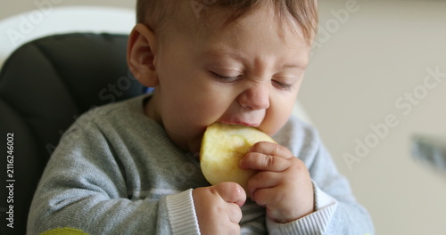 Photography Toddler baby eating healthy piece of healthy apple fruit