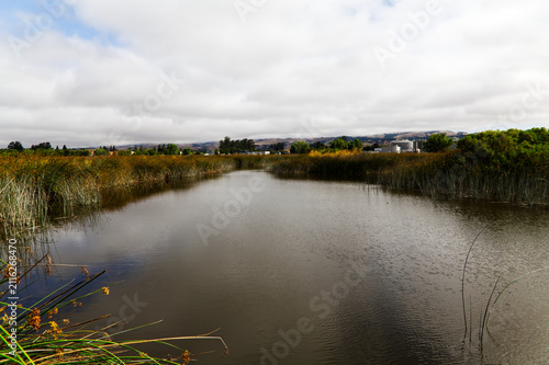 Wetlands Water And Green Reed With Water Treatment Structures