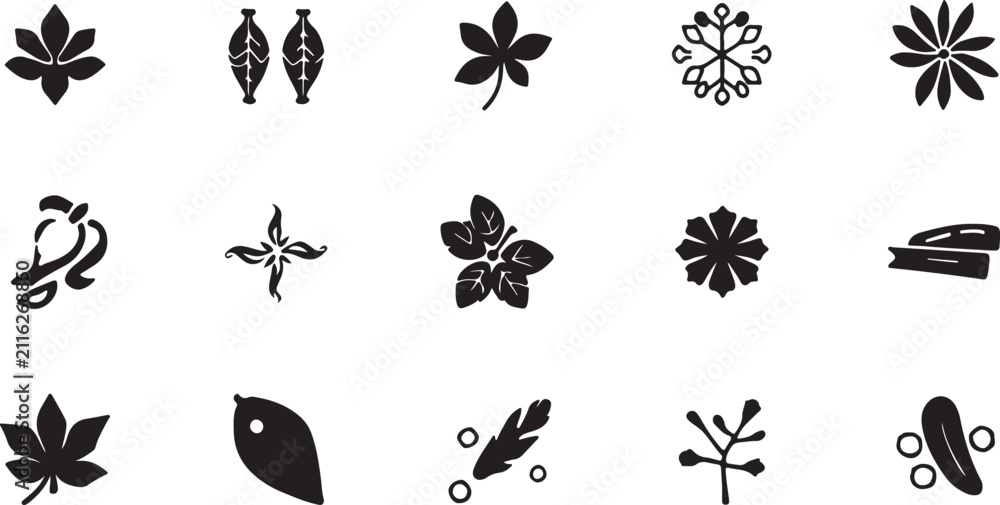 Fototapeta premium Black and white floral botanical illustration set with various flowers.