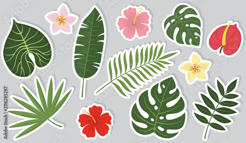 Set of tropical leaves and exotic flower stickers. Collection with monstera, palm fronds, fan palm, banana leaf, hibiscus, plumeria, frangipani and anthurium flowers. 