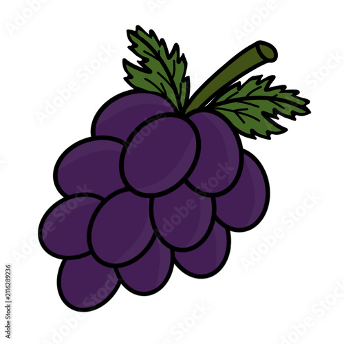 Quadro su tela bunch of grapes