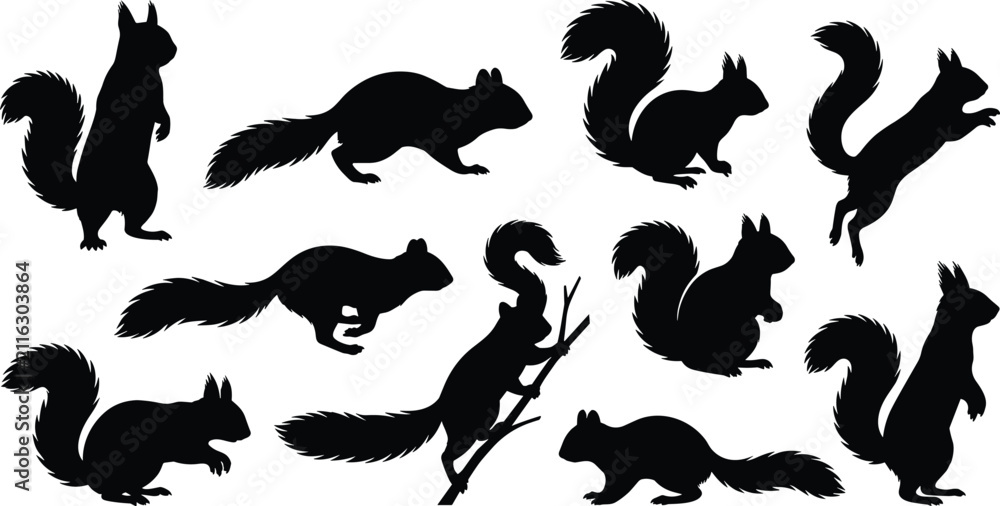 Obraz premium Collection of black squirrel silhouettes in various poses including running, standing, and jumping on white background
