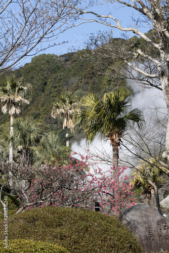 Landscape at Umior Beppu Hells hot springs, Japan