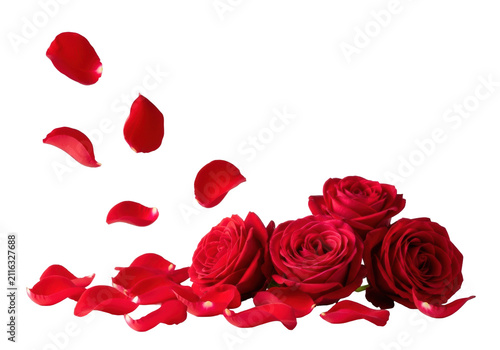 Deep crimson roses and vibrant velvety red petals scattered on a transparent surface, medium close-up, soft natural light, and individual petals suspended mid-air. concept of romance and