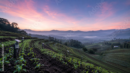 Field soil sensor network at dawn network at dawn modern commercial