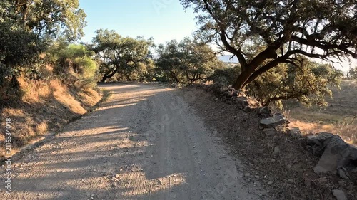 Via de la Plata - a dirt road leaving El Real de la Jara, province of Seville, Andalusia, Spain