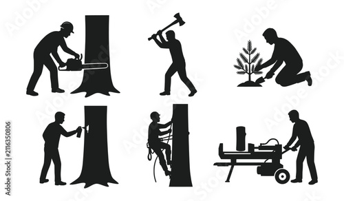 People processing tree into lumber steps