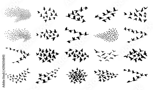 Dynamic Flying Bird Silhouette Collection Featuring Natural Flock Formation Patterns for Creative Wildlife Design Applications