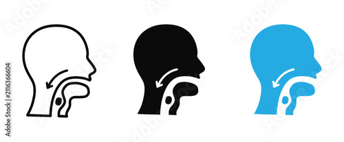 Bild auf Leinwand Human head profile silhouette icon showing throat anatomy, pharynx, esophagus, and the swallowing reflex marked with a downward arrow