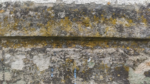 Photography Mossy Architectural Trim Stepped concrete molding covered in microflora and grim