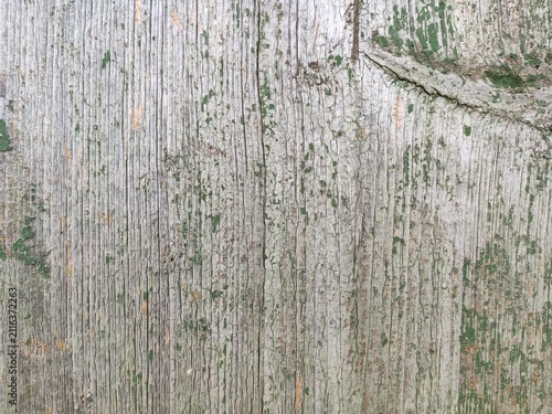 Fading Painted Timber Vertical wooden boards with cracked greenish coating for rustic interior designs grunge background templates and architectural overlays
