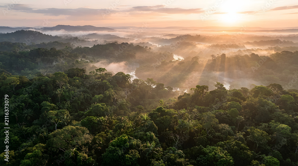 Obraz premium Aerial view of a lush green rainforest with morning mist and sun rays at sunrise
