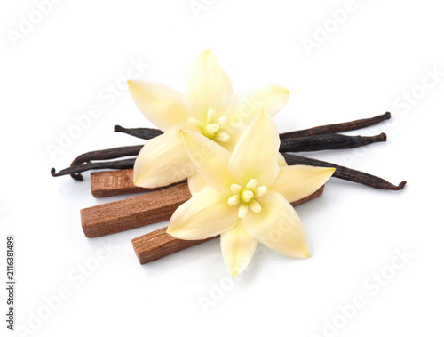 Vanilla flower and vanilla pods with sandalwood