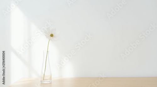 Minimalist aesthetic composition featuring simple white flower placed in clear glass bottle against white room wall with soft natural light streaming from window creating peaceful serene atmosphere