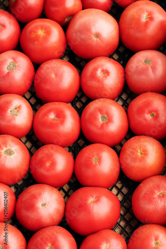 Fresh ripe tomatoes arranged neatly in crates at local market, ready for wholesale trade.