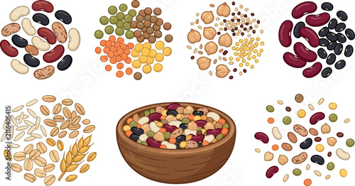 Mixed Organic Grains and Legumes Vector Icon Set with Bowls, Beans, Chickpeas, and Lentils for Grocery Store Packaging and Healthy Food Diet Designs