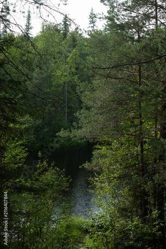 The surface of the forest lake surrounded by shrubs and trees with green leaves.