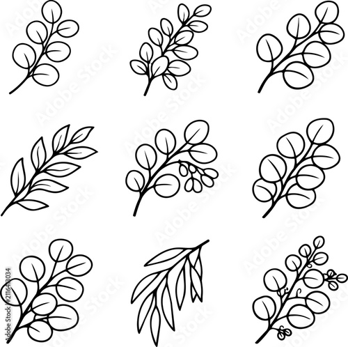 Nine black outline botanical sprigs with rounded and pointed leaves isolated on white