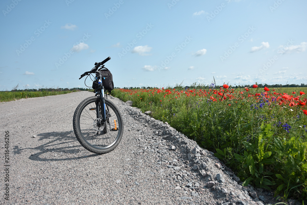 Fototapeta premium bike stands on the road in the field. A mountain bike stands on a field path with red poppies. Mountain bike. wheat field, sunny day. ride a bike. active outdoor recreation. trip to the countryside