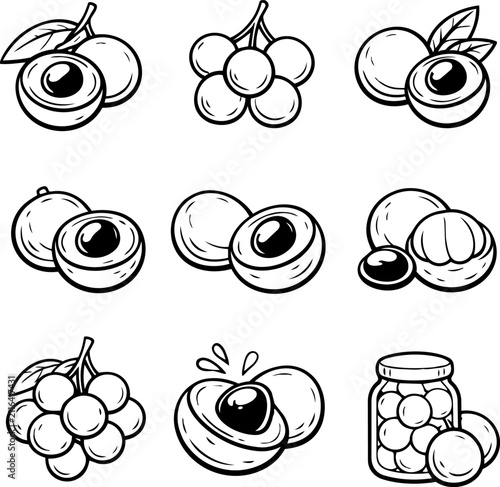 Nine hand-drawn longan fruit illustrations showing whole, peeled, halved, clustered and preserved forms
