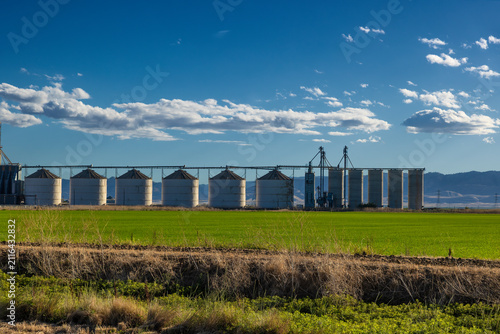 Agricultural land in southern California's San Joaquin Valley, USA