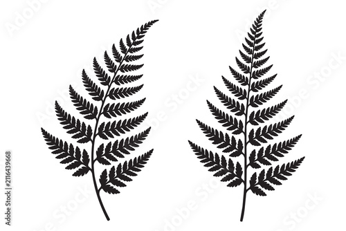 Two black fern leaf silhouettes isolated on a plain surface