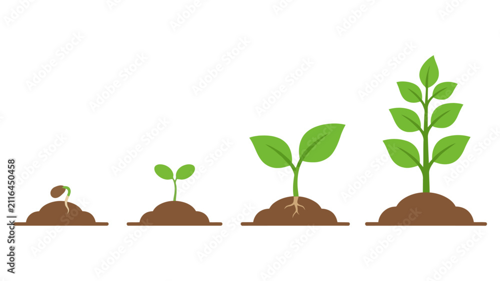 Obraz premium Green plant growth stages showing a seed sprouting into a small sapling in brown soil mounds Vector