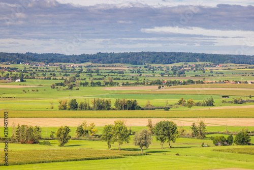 Expansive Rural Landscape with Green Fields, Distant Forest, and Scattered Settlements Under a Cloudy Sky. Region of Bavaria in Germany, Europe.
